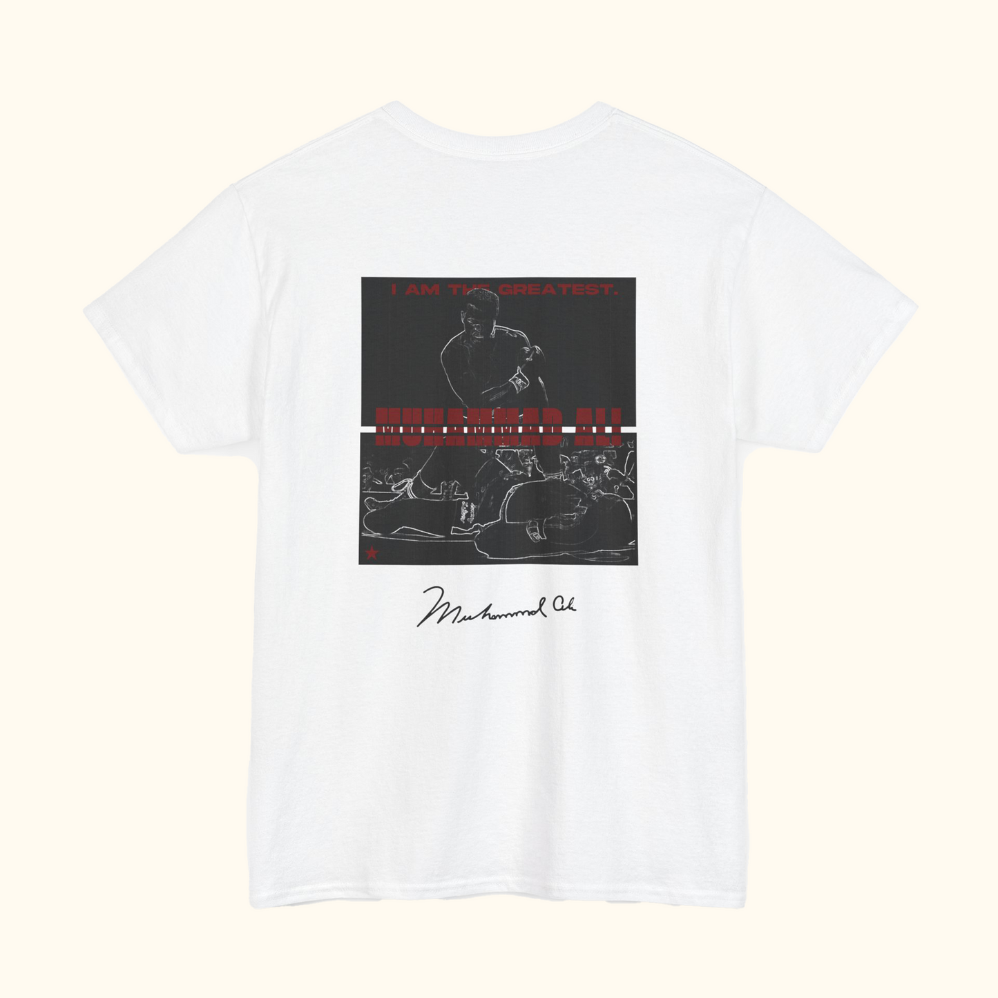 ARISE x ZYNLOC BUNDLE